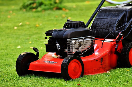 best time to fertilize lawn before or after mowing