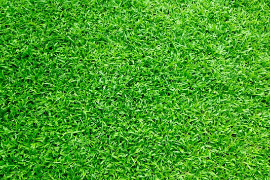 Are Pre-Emergent Herbicides Safe