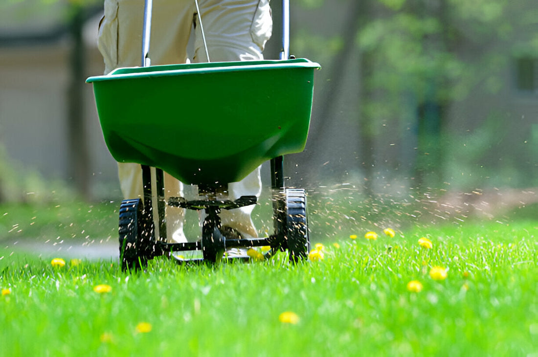 best lawn fertilizer