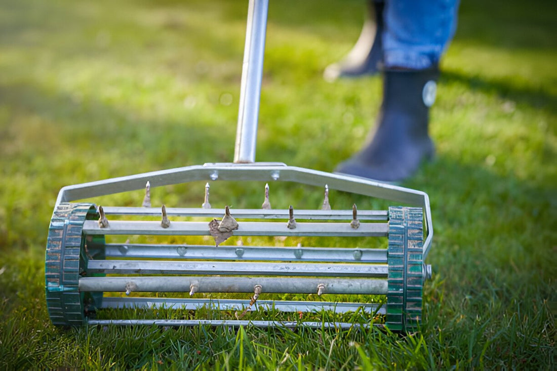 best lawn fertilizer after aeration
