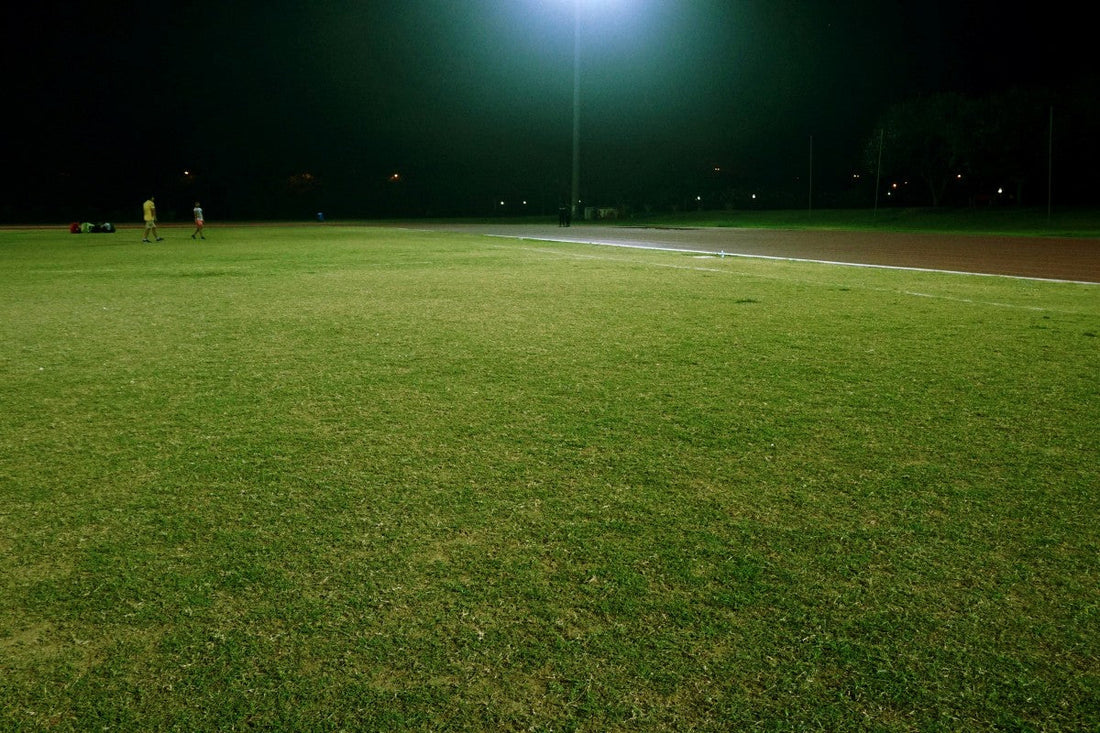 how long after pre emergent can i weed and feed