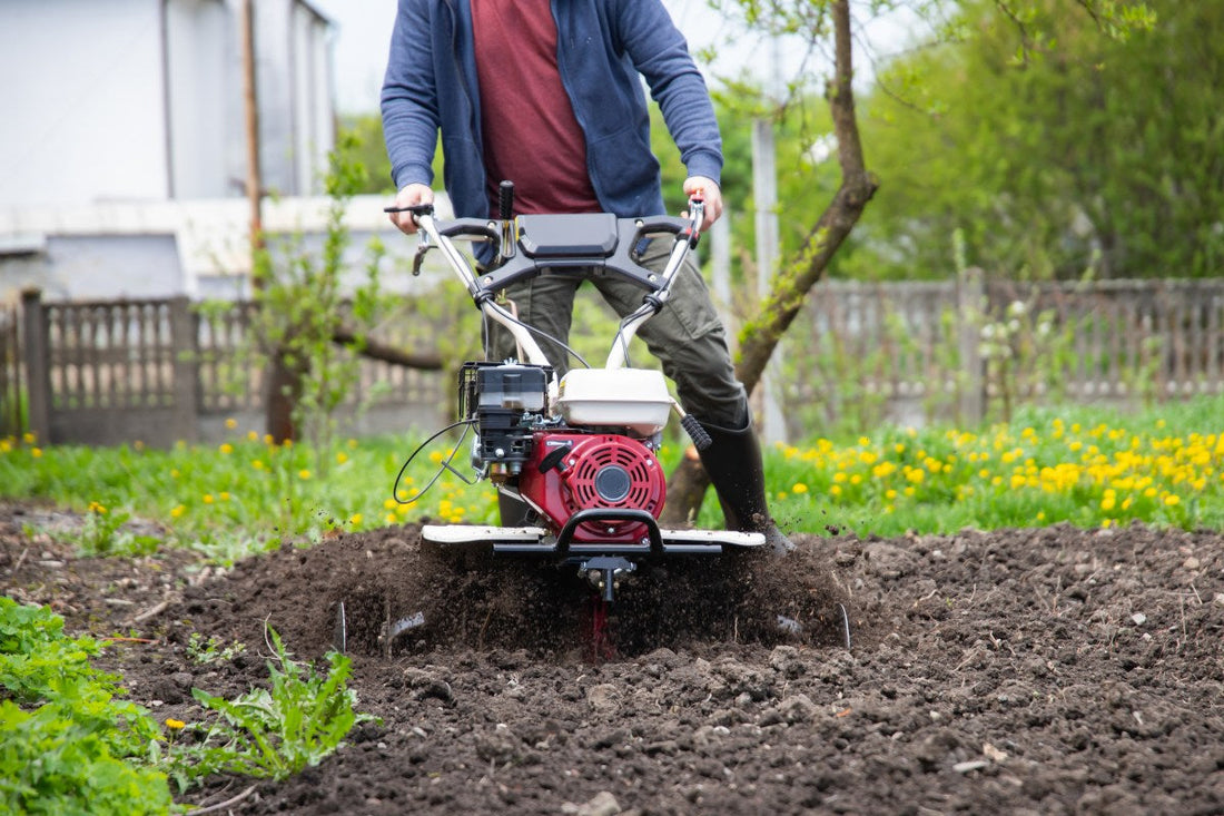 how to plant grass seed without tilling
