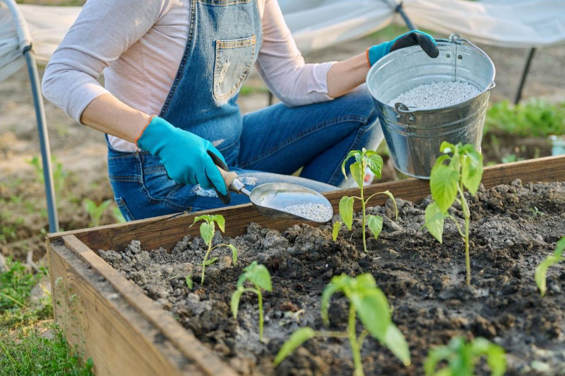 lawn food vs fertilizer