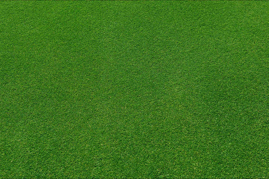 when to apply pre emergent