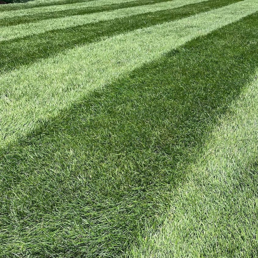 Emerld 10-0-20 Lawn Fertilizer