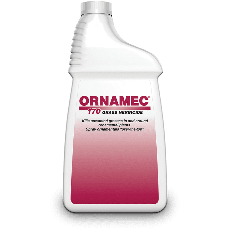 bermuda grass selective herbicide Ornamec 170 Grass Herbicide