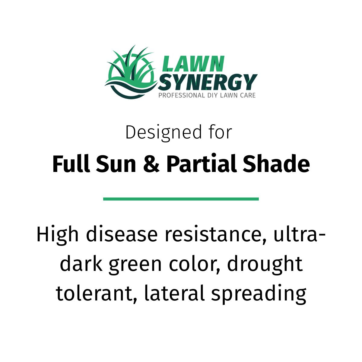 Lawn Synergy envy seed description card with text about sun and shade tolerance, disease resistance, color, and drought tolerance.