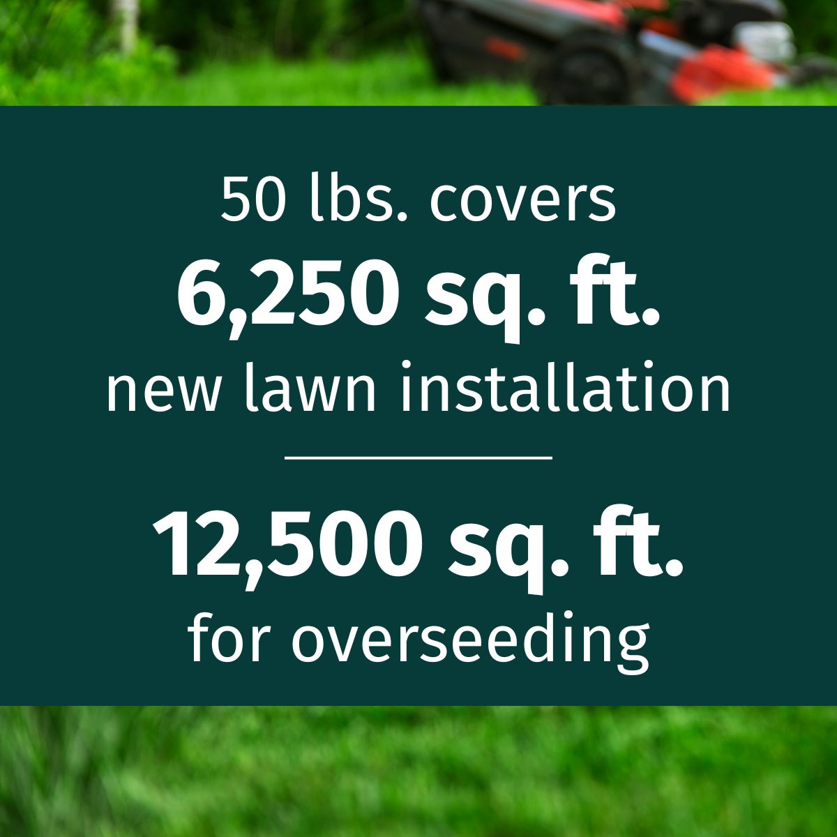 Envy grass seed information overlay with text about coverage on a grassy background.