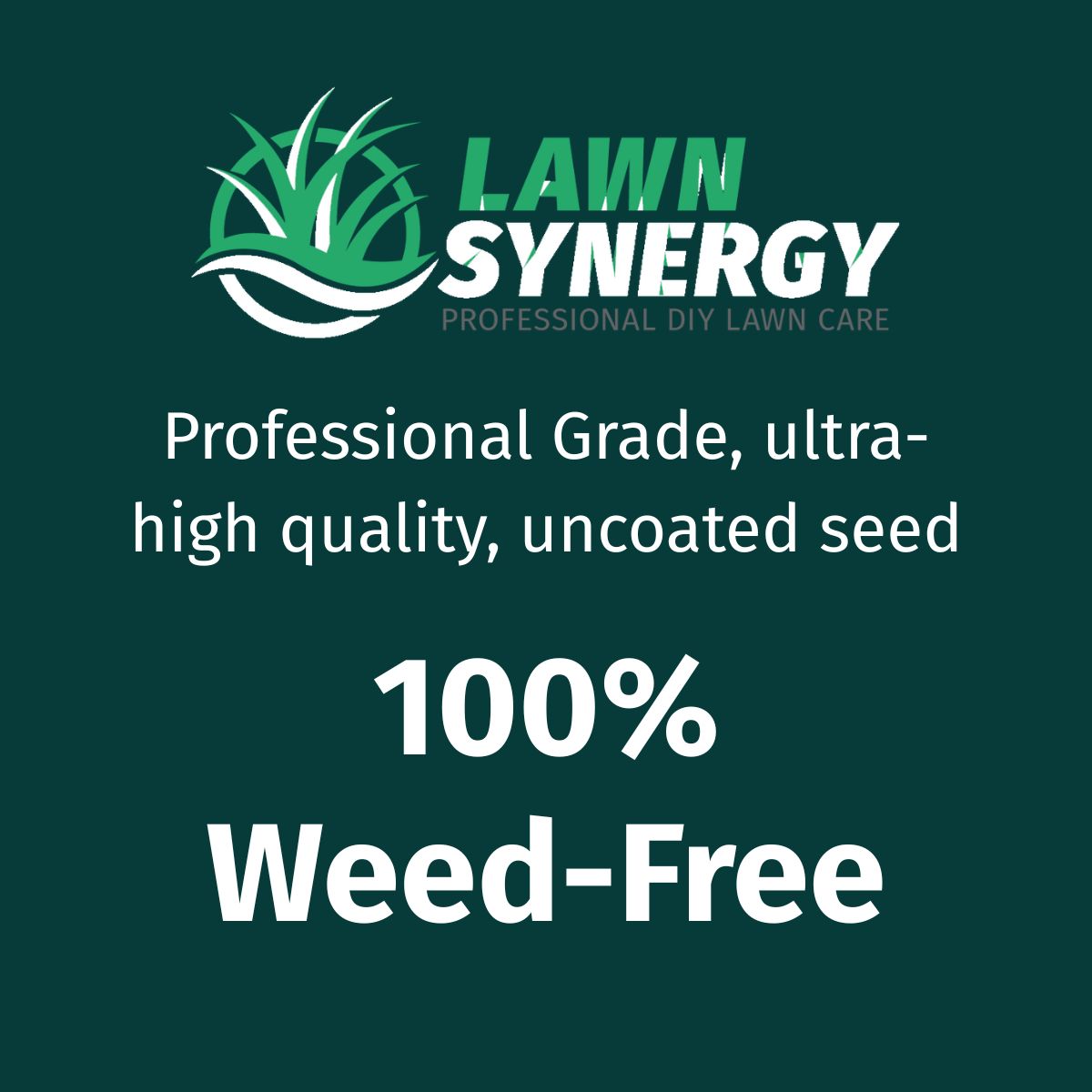 Lawn Synergy advertisement with text about professional grade seed and weed-free quality on a green background.