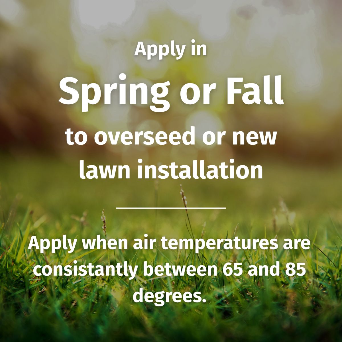 Lawn with text overlay about overseeding or new lawn installation timing.