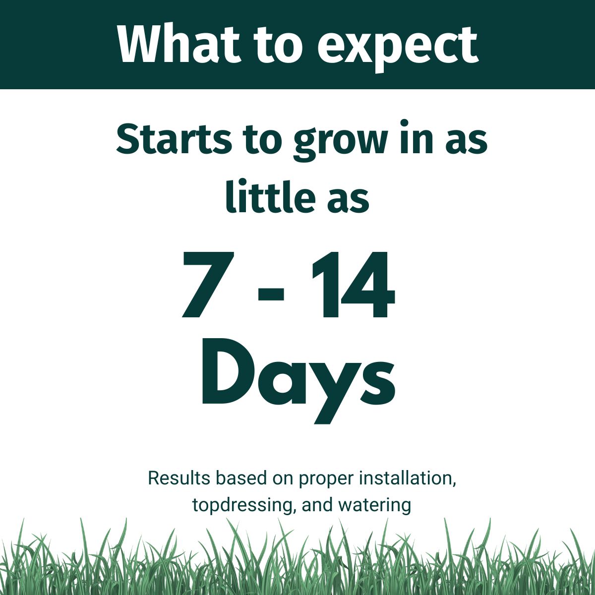 Text indicating Envy grass seed growth expectation with a green background and grass at the bottom.