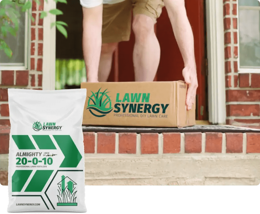 Lawn Synergy Box