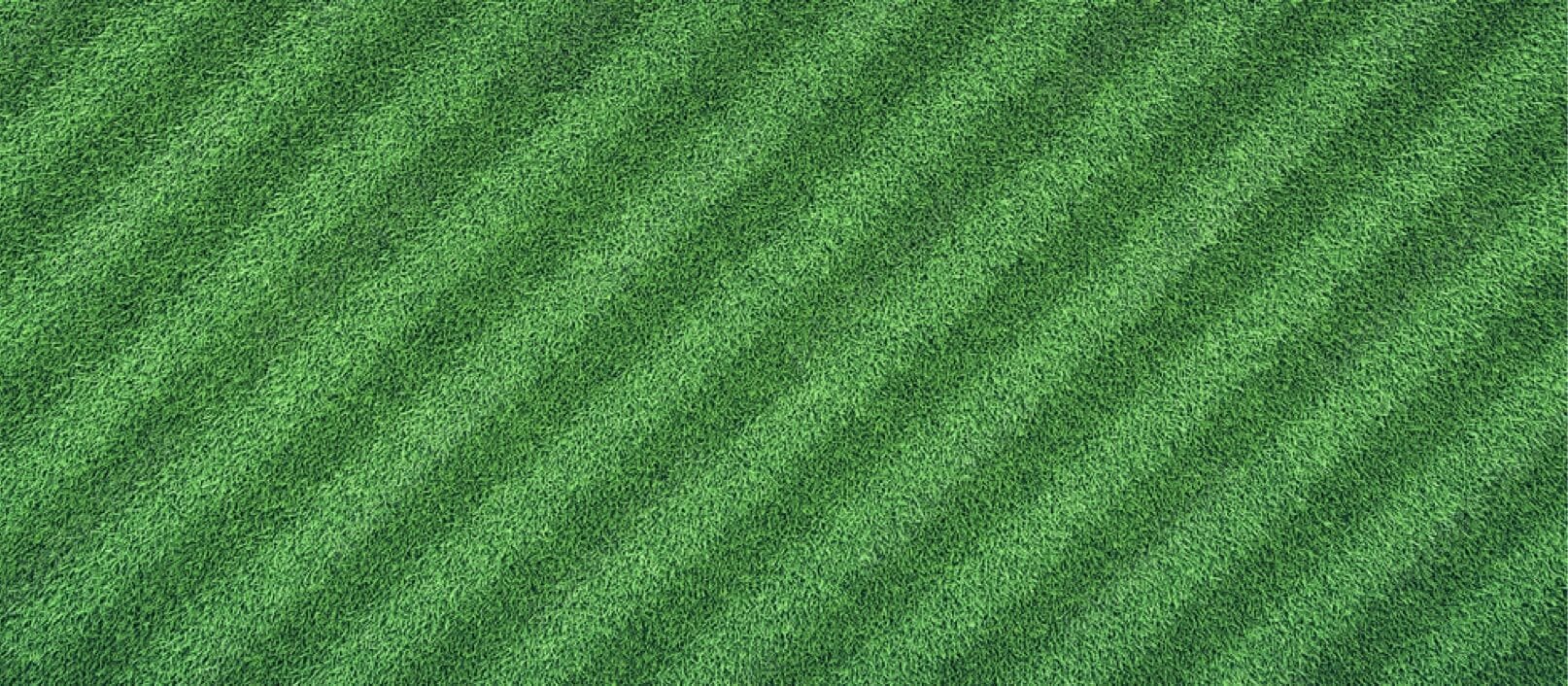Green grass background