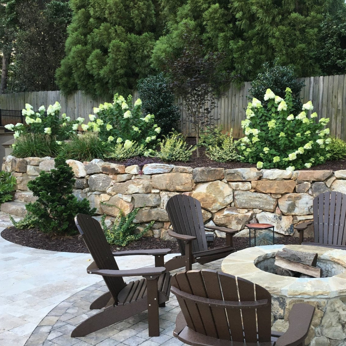 Hydrangea fertilizer