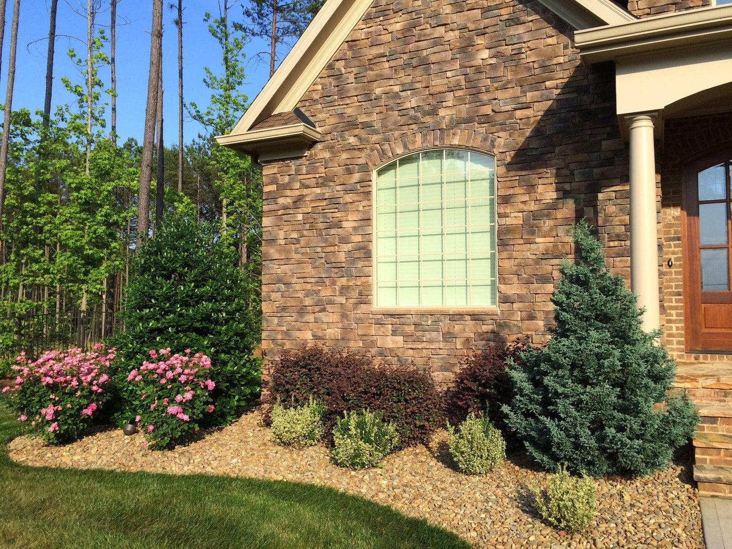 landscape plant fertilizer