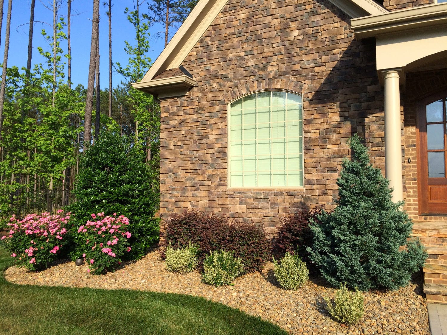 landscape plant fertilizer