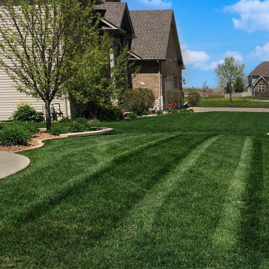 Professional DIY Lawn Care Fertilizer Program Subscription