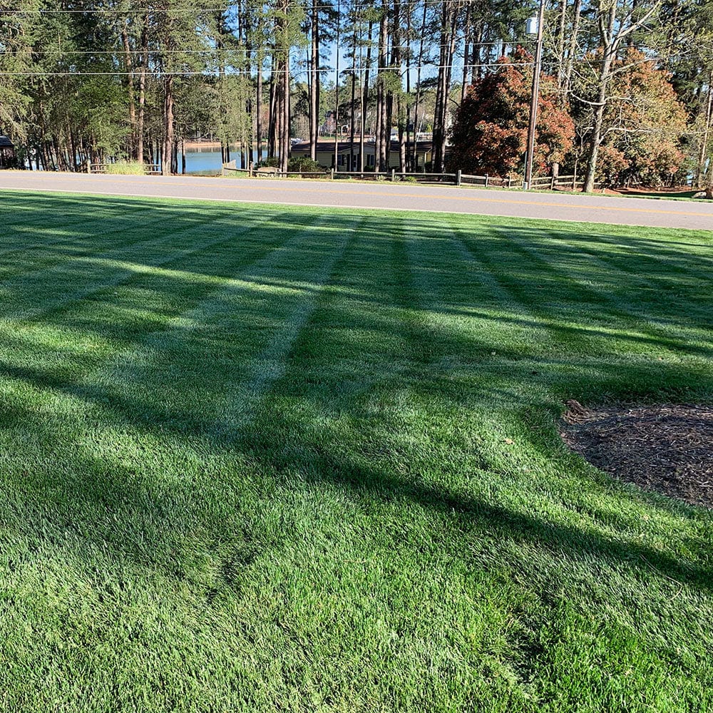 Professional DIY Lawn Care Fertilizer Program Subscription