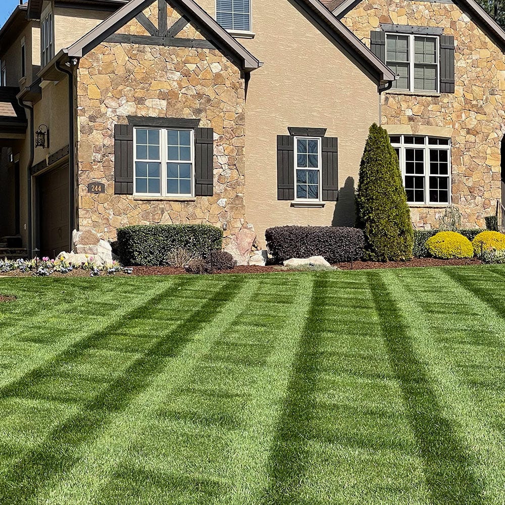 Professional DIY Lawn Care Fertilizer Program Subscription