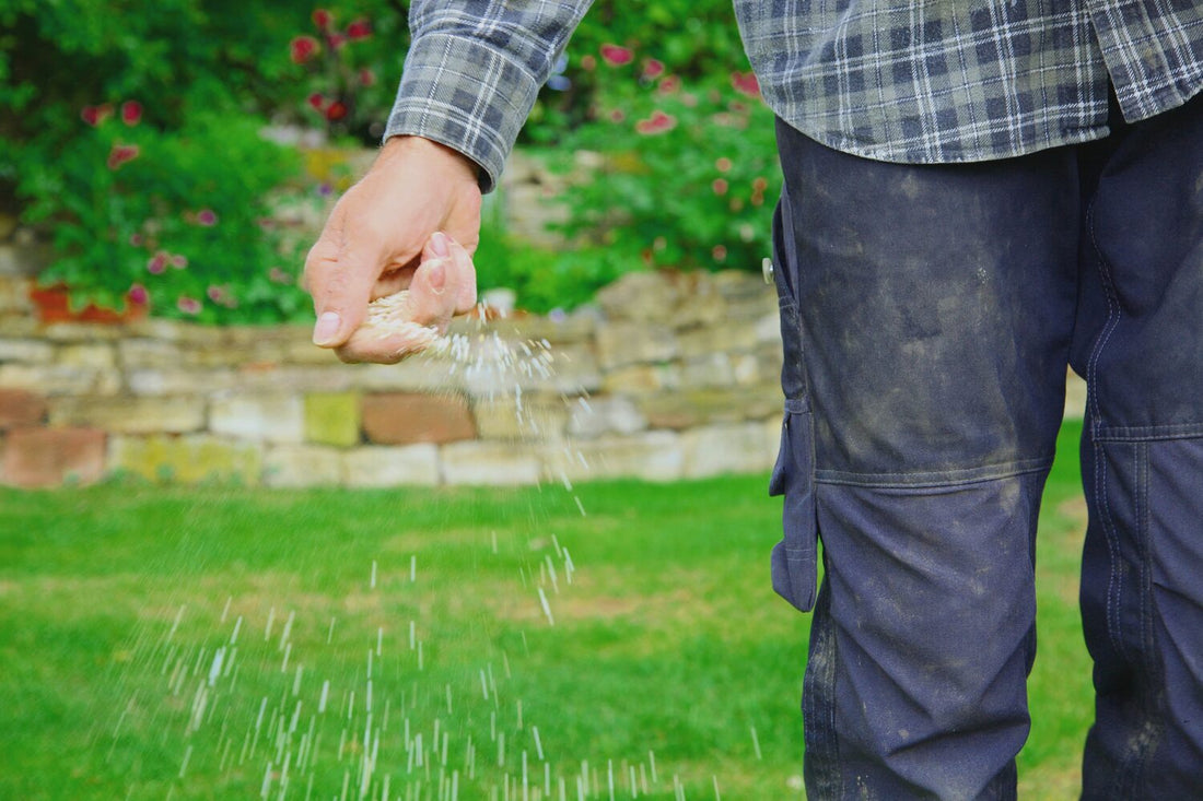 does grass seed need to be covered