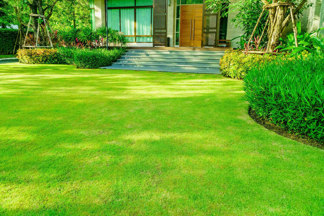 when to fertilize lawn indiana