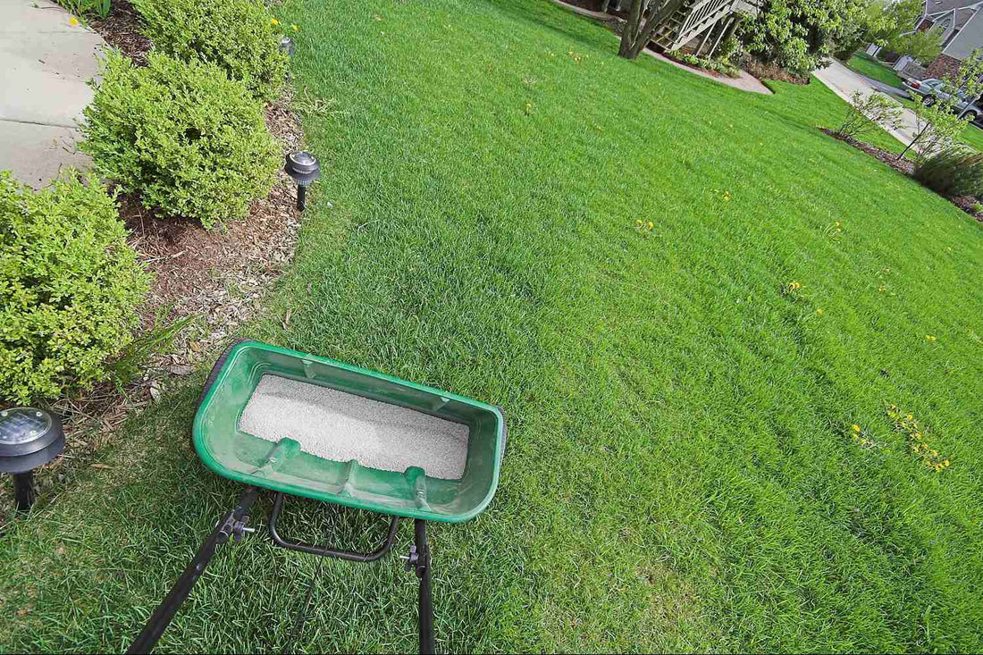 when to apply pre emergent in fall