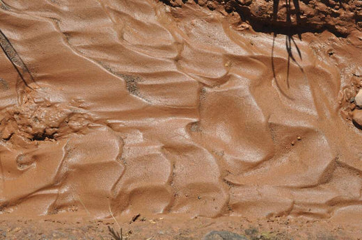 best grass seed for clay soil