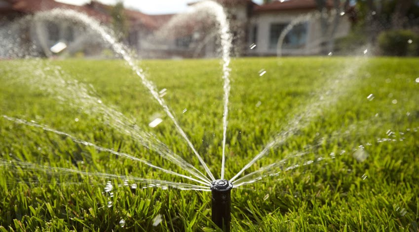 How Much Fertilizer for Lawn?