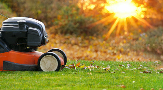 best grass seed for wisconsin