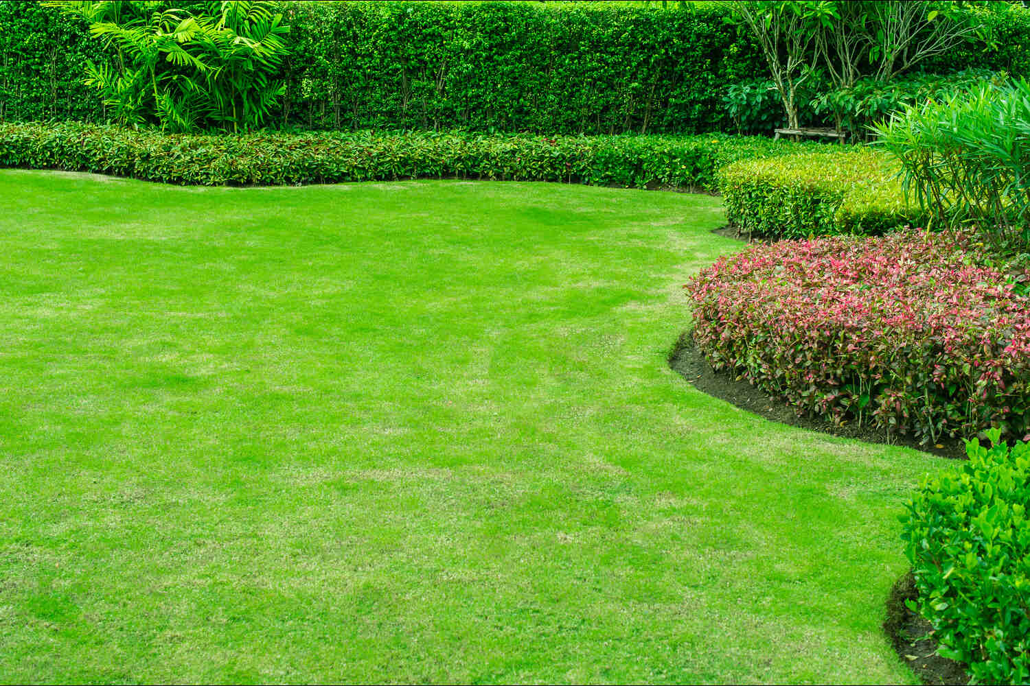 How Do Pre Emergent Herbicides Work Lawn Synergy Guide