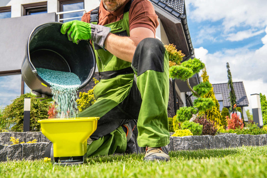 when to apply pre emergent in texas