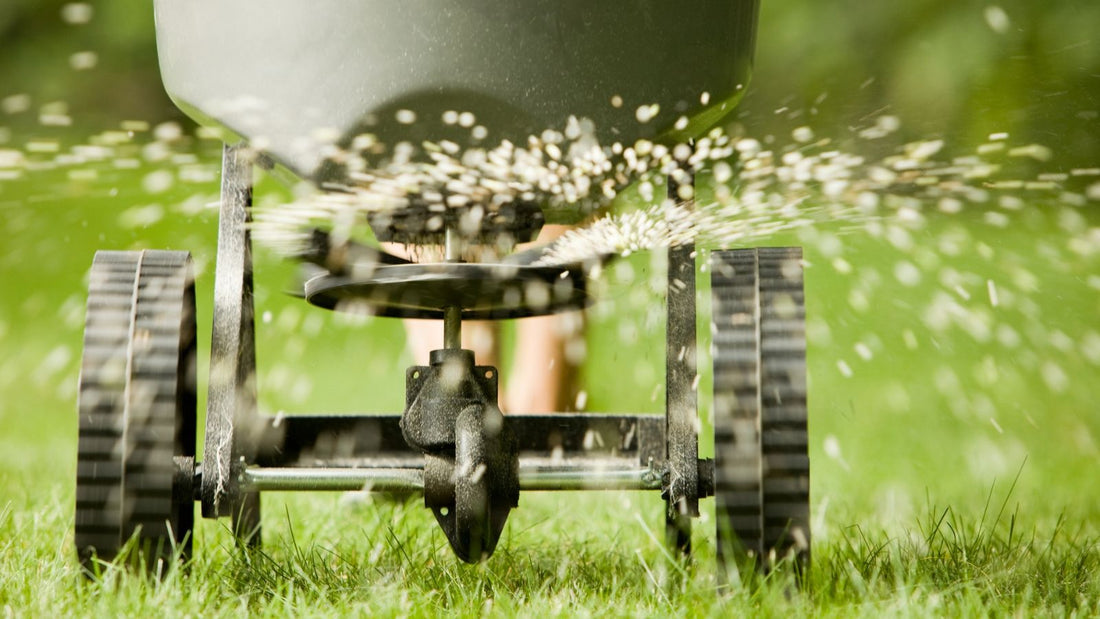 how to spread lawn fertilizer