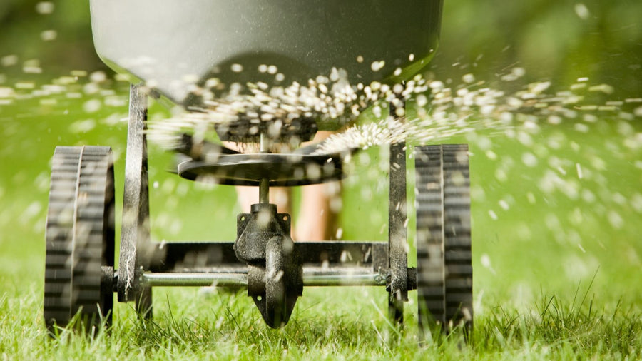 How to Spread Lawn Fertilizer