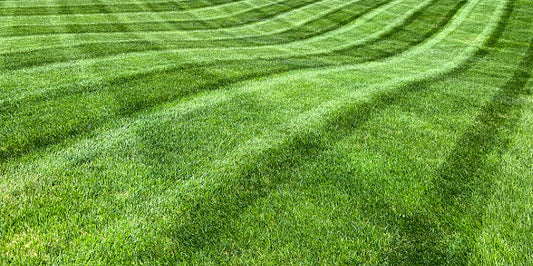 how to know what fertilizer to use on lawn