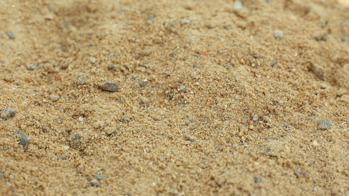 A Close-Up View Of Sandy Soil