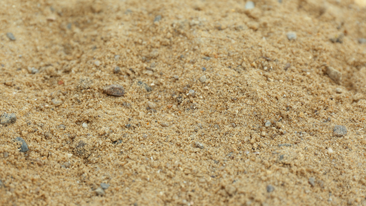 A Close-Up View Of Sandy Soil
