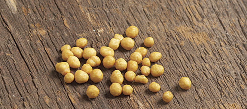 Granular Lawn Fertilizer: The Meat and Potatoes for Your Lawn