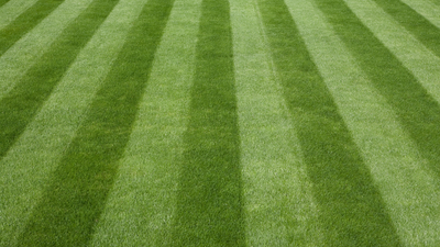 Hydroseeding: Cost, Process, And DIY Guide