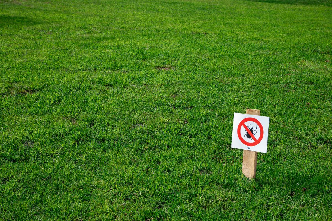Lawn damage warning sign indicating pest issue, common when dealing with lawn mites infestation