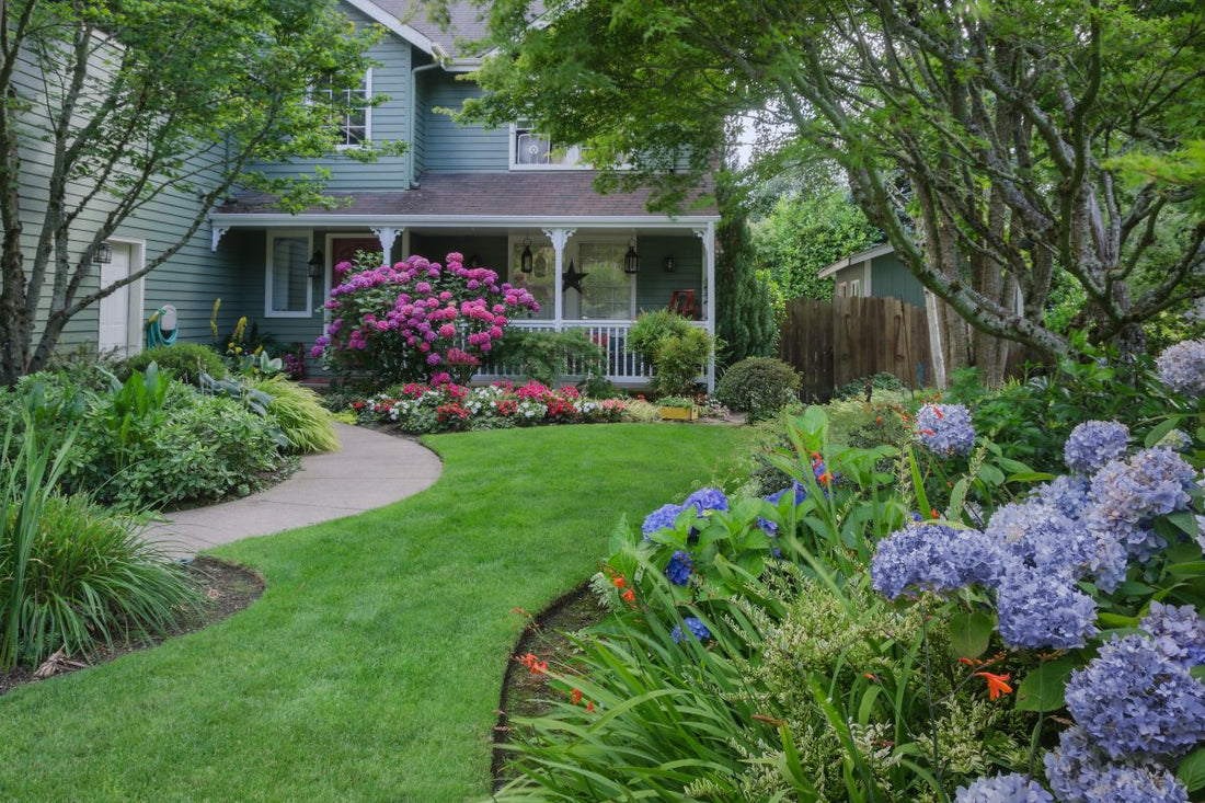 Lush Florida home that uses the best insecticide for Florida lawns to keep their front yard green and pest-free.