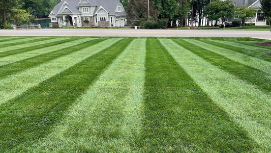 Perfectly Manicured Lawn, Prepared For The Colder Months