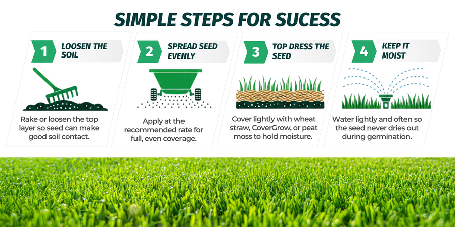 How To Plant Grass Seed