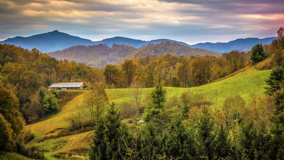 South Carolina Landscape During Fall Season