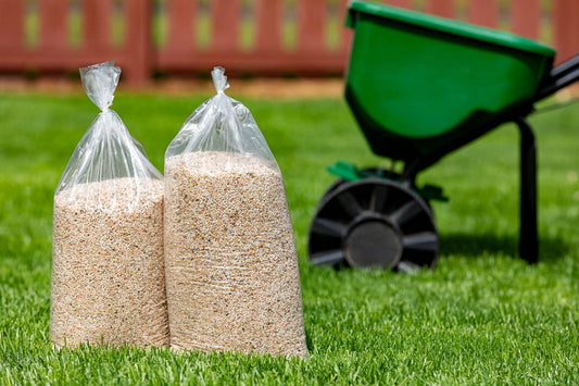 best grass seed for missouri