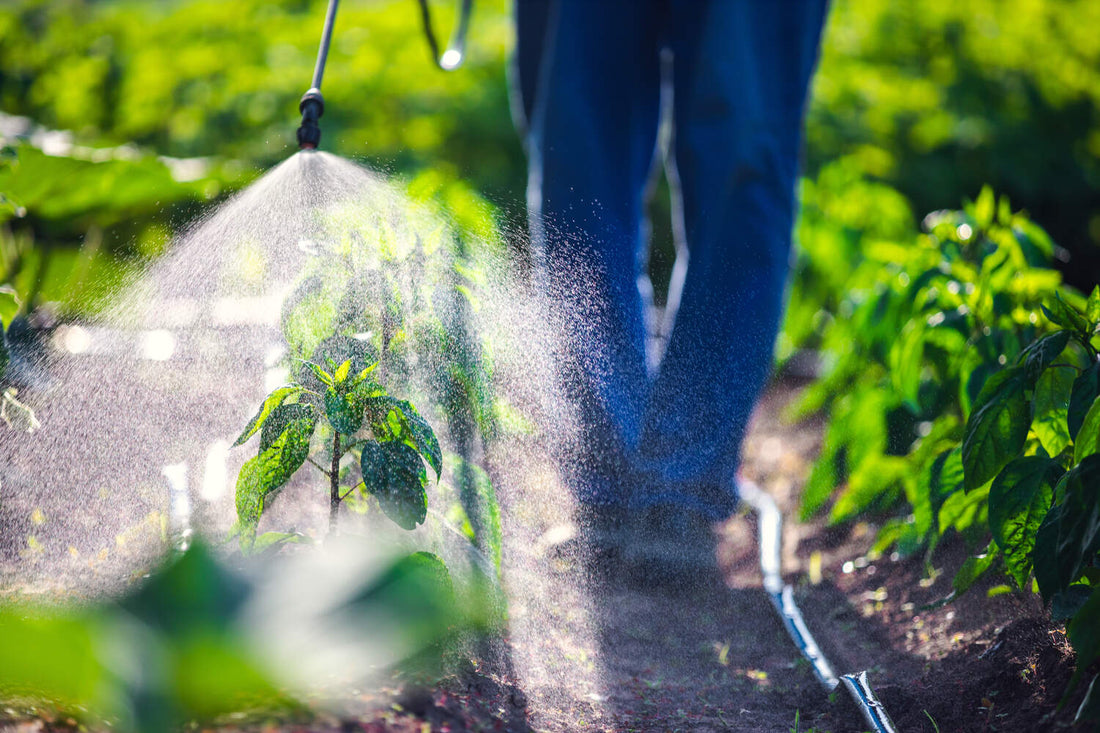 how long after weed killer can you plant grass seed