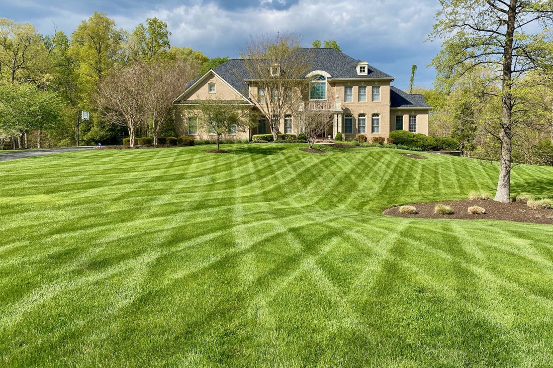 How to Aerate and Overseed your lawn