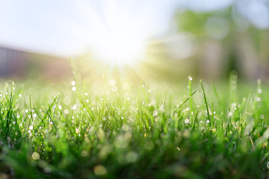 benefits of turf
