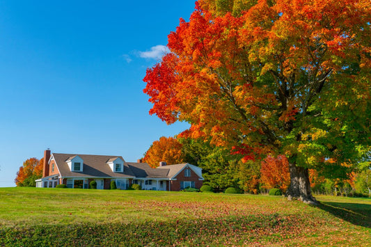best fall pre emergent