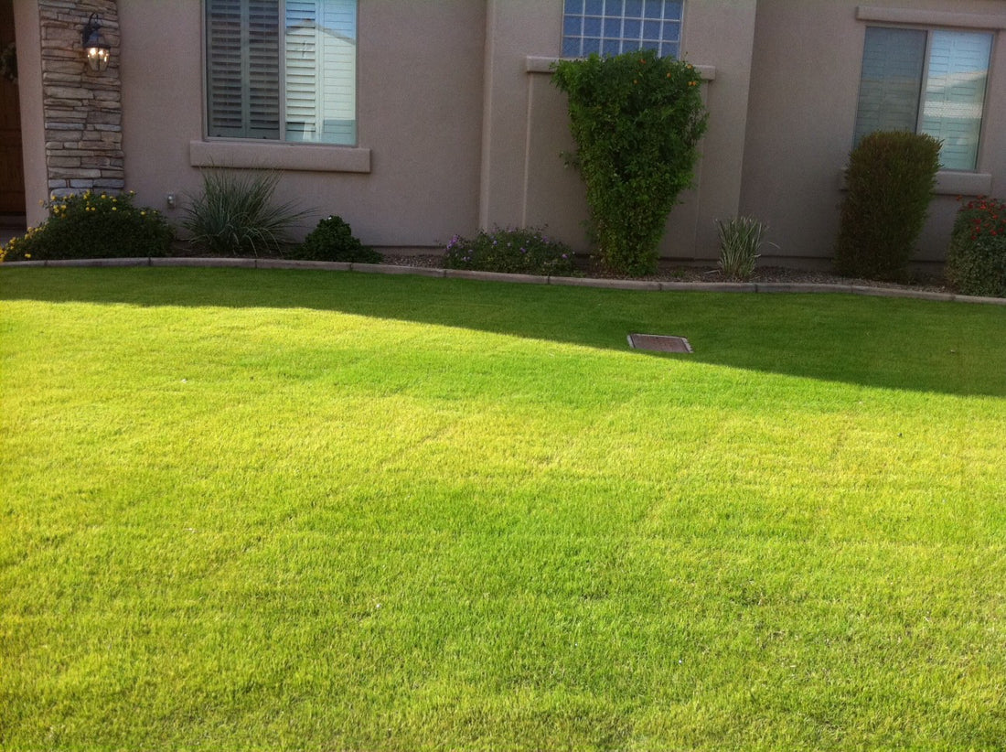 Best Fertilizer for Yellow Grass: Lawn Makeover Secrets!