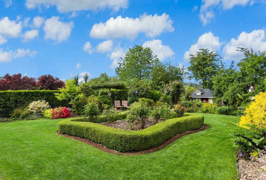 best grass seed for northern california 
